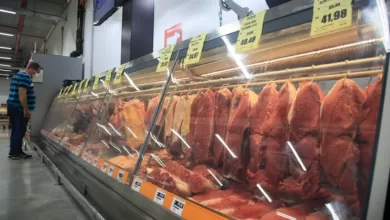 Carnes