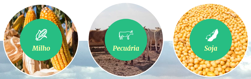 Como analisar o desempenho da SLC Agrícola?