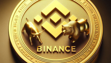 Se Tornando Investidor da Binance Coin com esse guia!