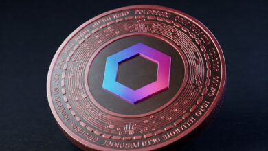 Guia completo para você Investir na Criptomoeda Polkadot (DOT)