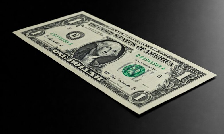 Por que o Brasil não Adota o Dólar como Moeda Oficial?
