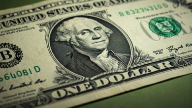 Vale a Pena Investir em Dólar?