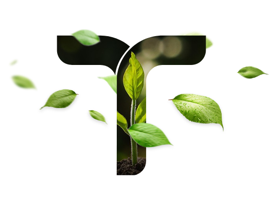 Sustentabilidade: Um Fator Cada Vez Mais Relevante