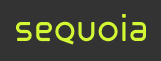 De Curioso a Investidor: Passo a Passo para Começar a Investir na Sequoia (SEQL3)