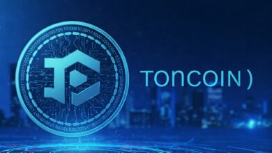 Passo a Passo para Você Investir na Moeda Digital Toncoin em 2025