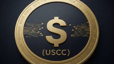 Saiba como Investir na Stablecoin USD Coin