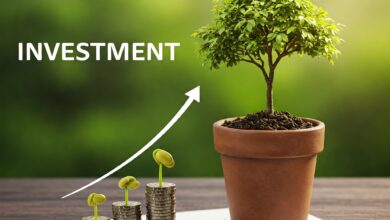 5 Dicas para Investidores Iniciantes