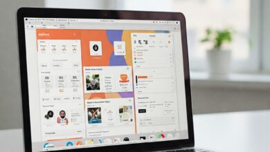 Como usar o Notion para organizar minhas despesas
