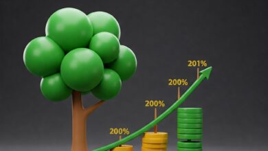 Como funciona os Juros Compostos?