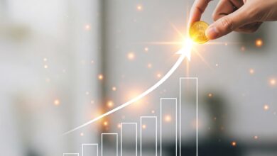 Guia completo para você iniciar sua carreira de investimentos