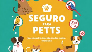 Você Sabia Que Existe Seguro para Pets?