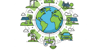 O que são os Green Bonds?