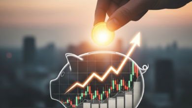 O que todo iniciante precisa saber antes de investir