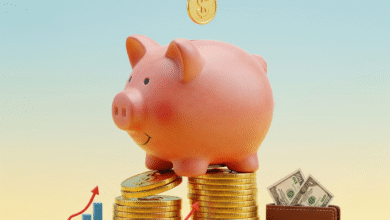As Maiores Quedas da Bolsa Brasileira e o Que Todo Investidor Precisa Saber