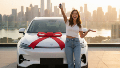 Passo 18: Primeiros cuidados com um carro 0 km