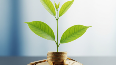 Aprenda como transformar um hobbie em renda