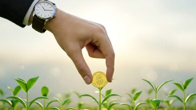 Conheça os tipos de investimentos mais usados no Brasil (explicado simples)