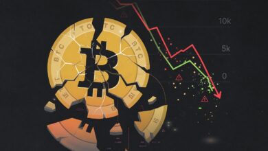 5 erros que podem fazer você perder suas criptomoedas