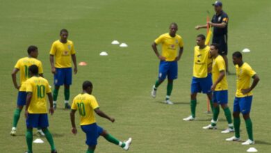 Como o sucesso da seleção influencia o humor dos investidores