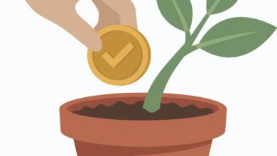 O que você precisa saber antes de fazer seu primeiro investimento
