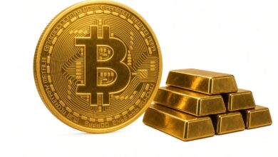Bitcoin é uma moeda, um ativo ou uma reserva de valor?