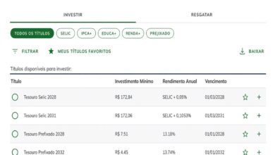 Tesouro Direto é seguro? Entenda os riscos